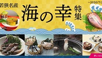 通販サイトcocochi